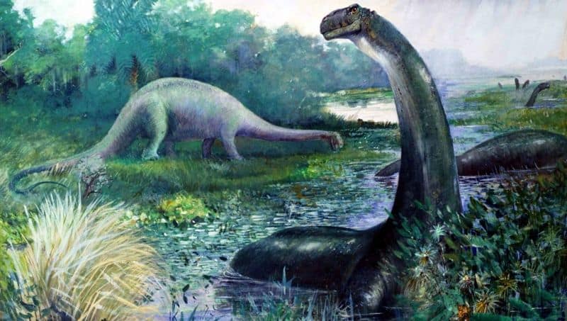 Dinosaurs Lived Only in Swamps