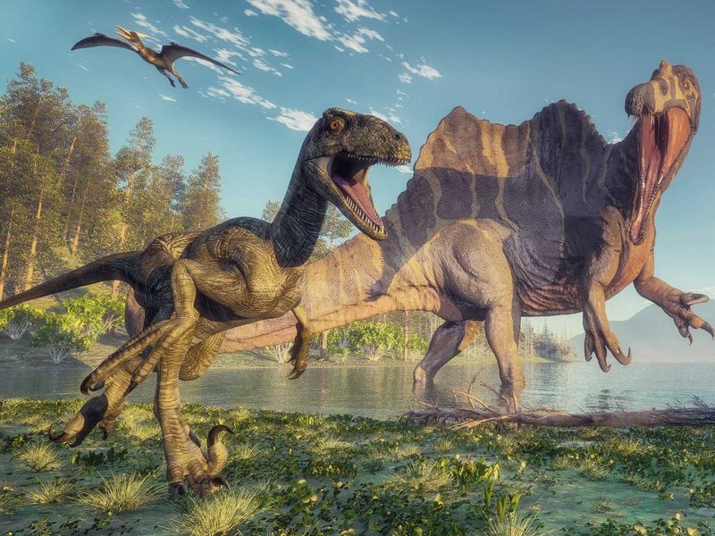 Dinosaurs and Humans Coexisted