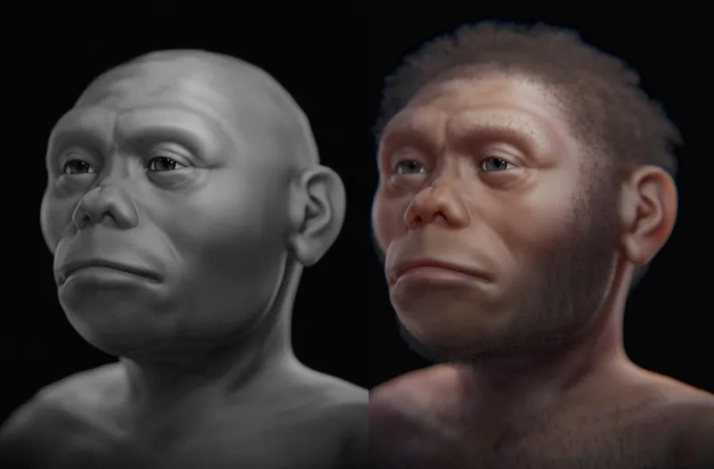 Extinct 'Hobbit' Species: Homo Floresiensis