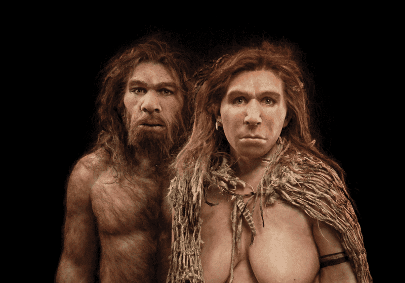 Neanderthal DNA