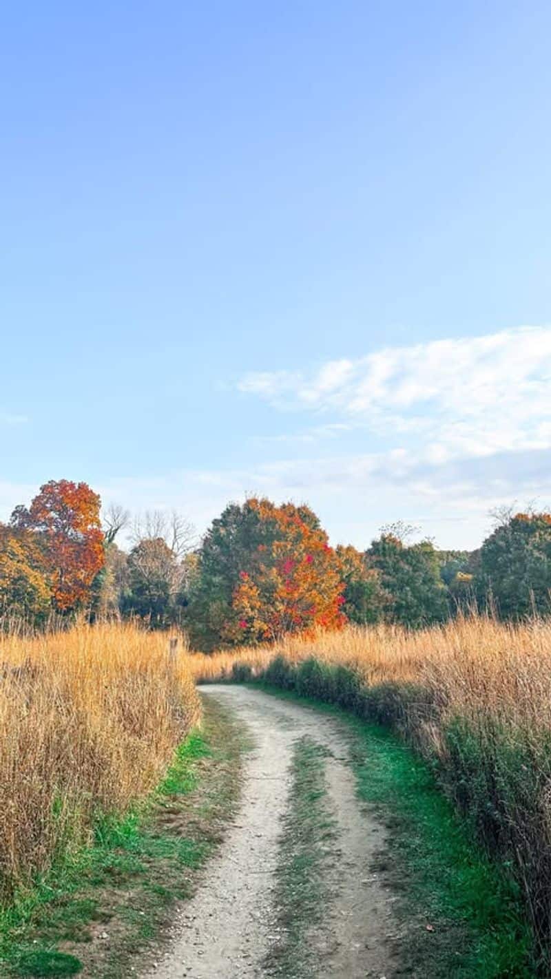 Path 3: The Stony Hill Road