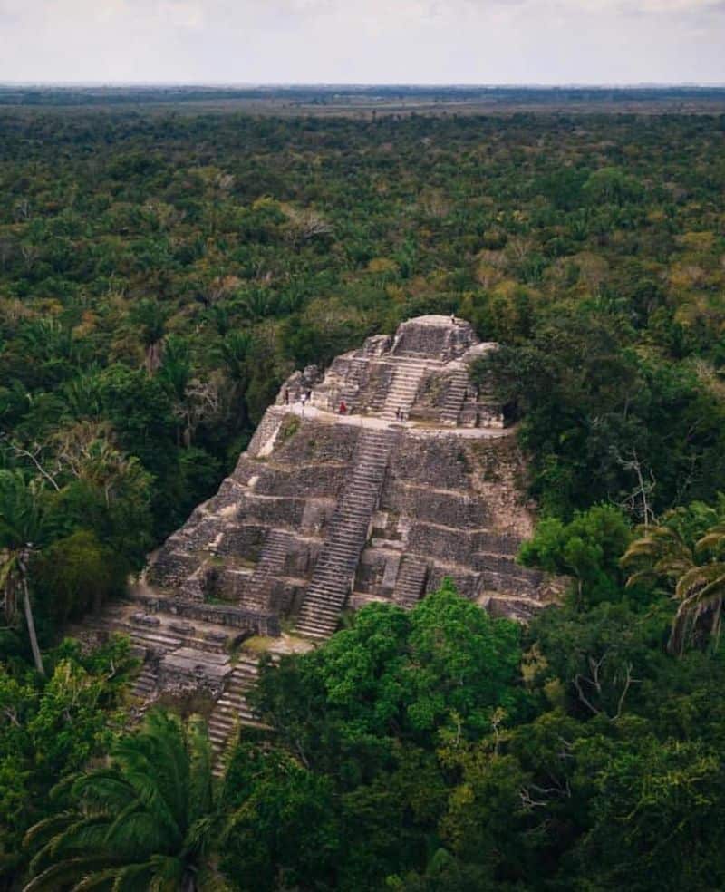 The Enigmatic Maya Collapse