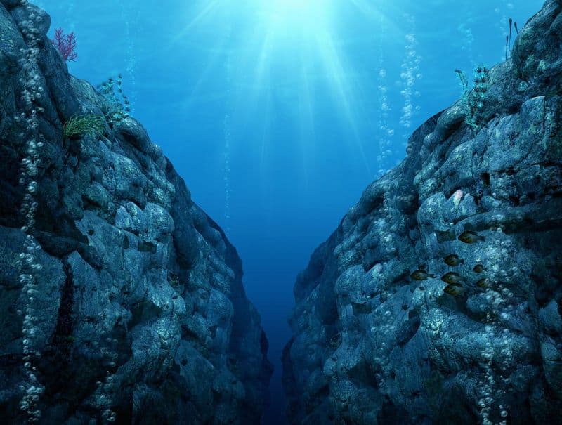 The Ocean's Deepest Secret