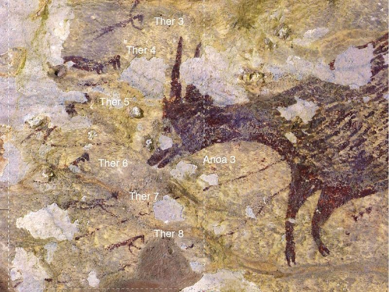 The Oldest Known Figurative Art: Indonesian Cave Paintings