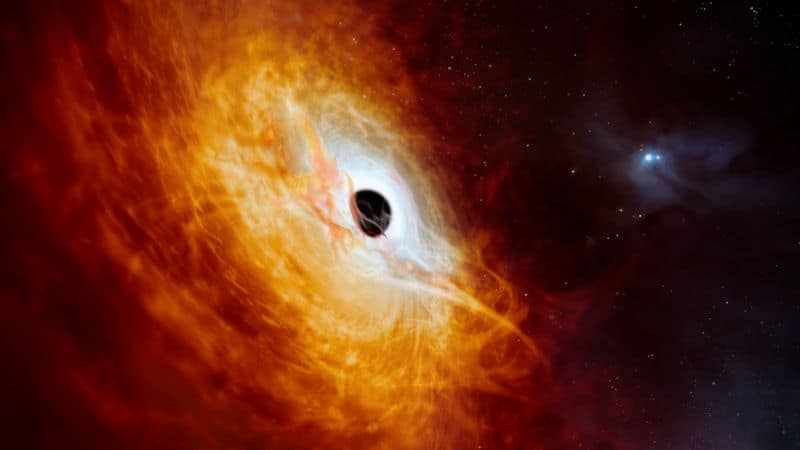 Black Holes as Cosmic Anchors