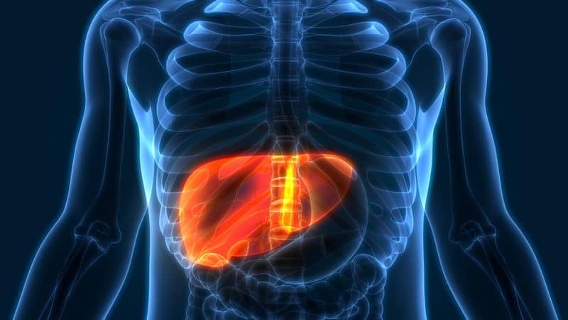 Extraordinary Liver