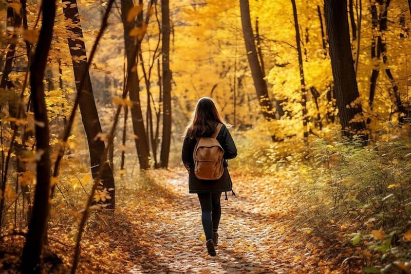 Nature Walks Reduce Stress