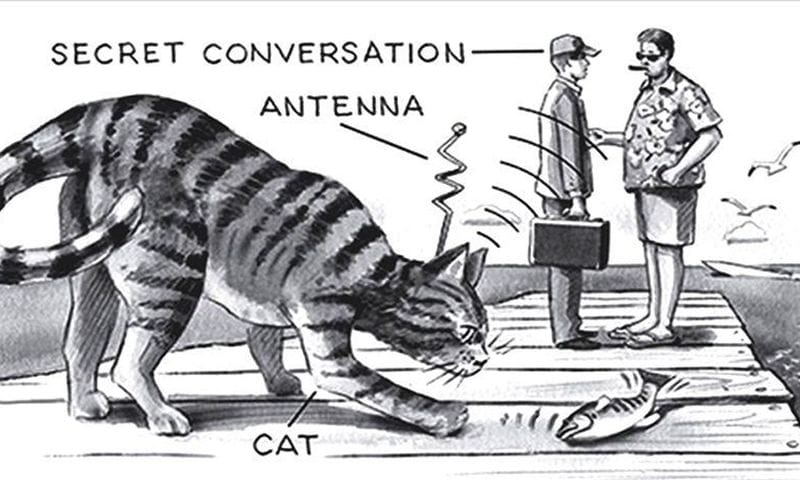 The CIA’s Acoustic Kitty Program