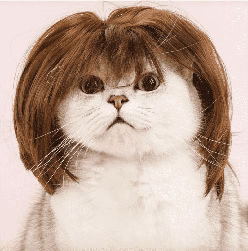 The Cat Wig