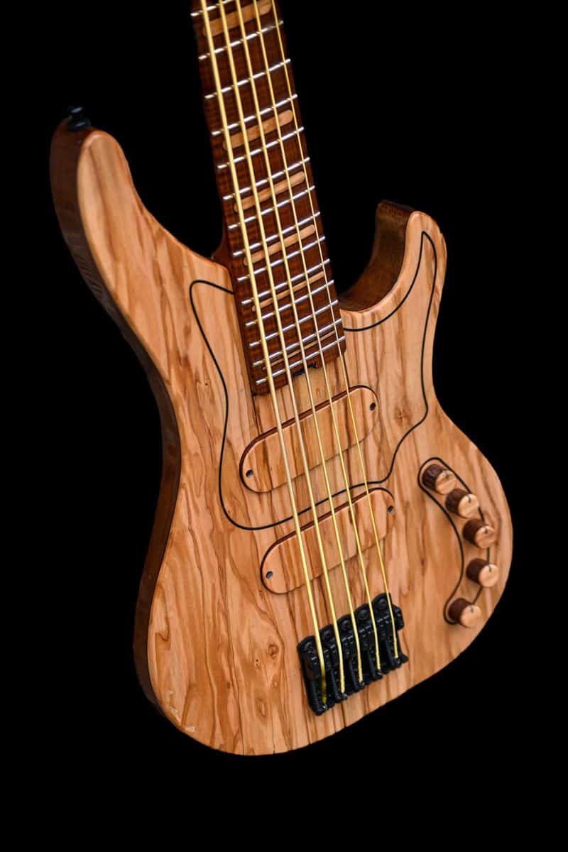 The Enigmatic Fretless Guitar