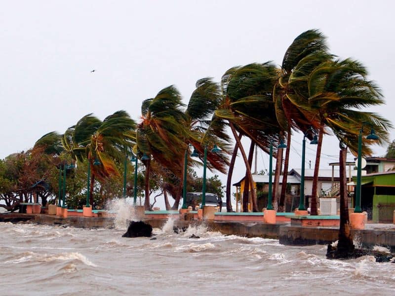 The Global Reach of Hurricanes