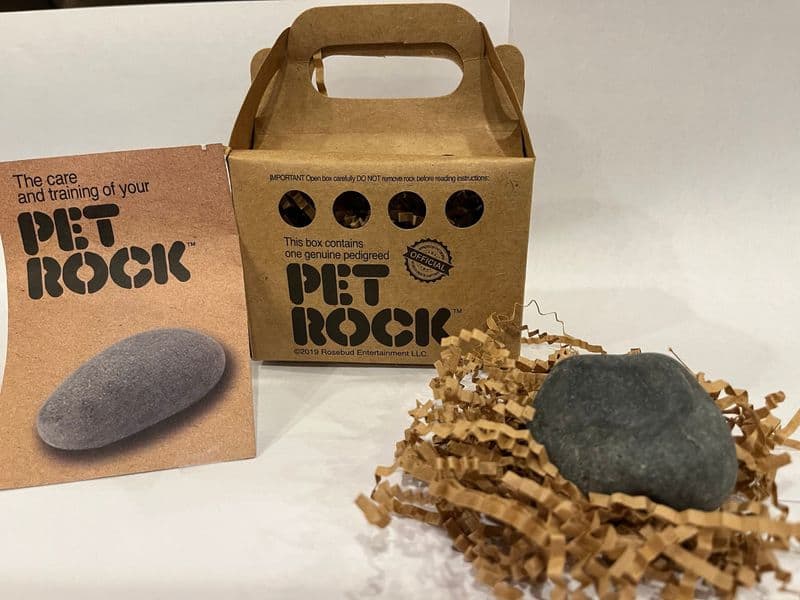 The Pet Rock