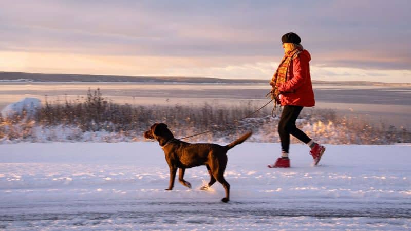 Walking Enhances Longevity