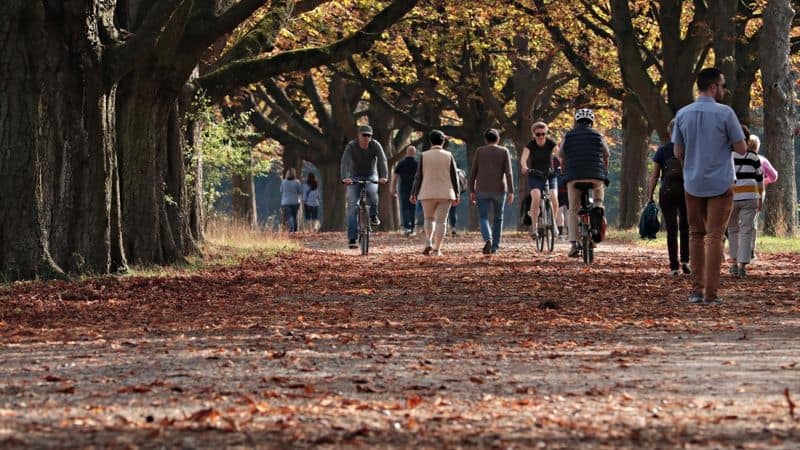 Walking and Community Building